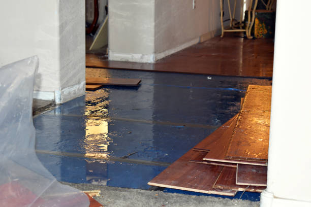 Professional Flood Damage Restoration technician working in Trimble, MO